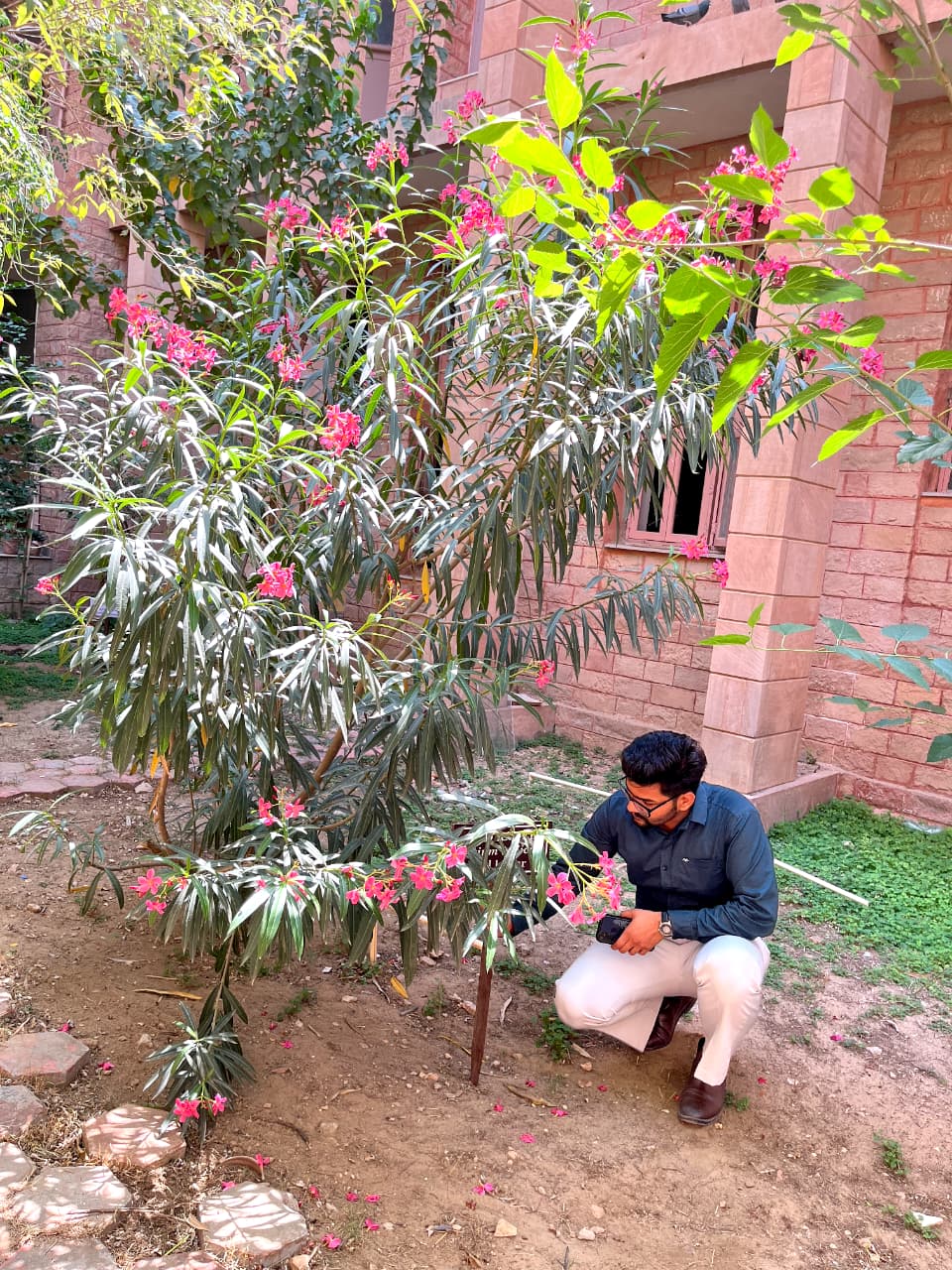 Herbal Garden 1