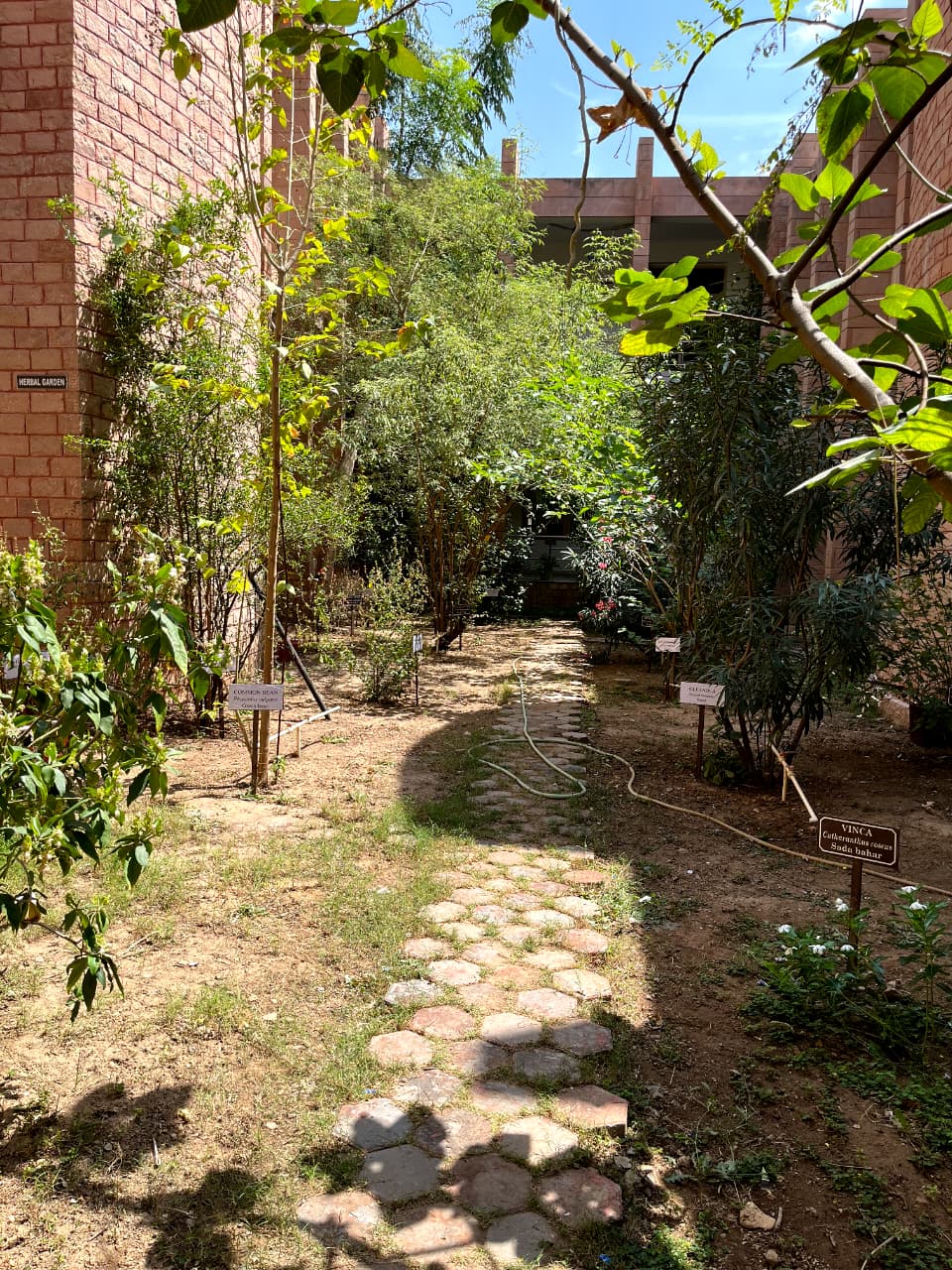 Herbal Garden 2