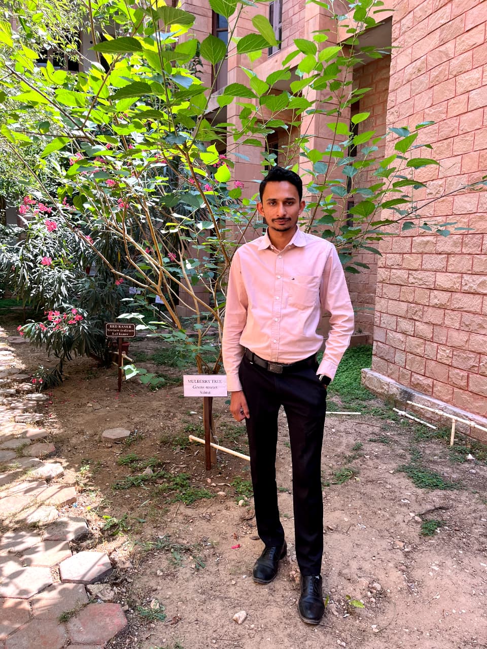 Herbal Garden 3