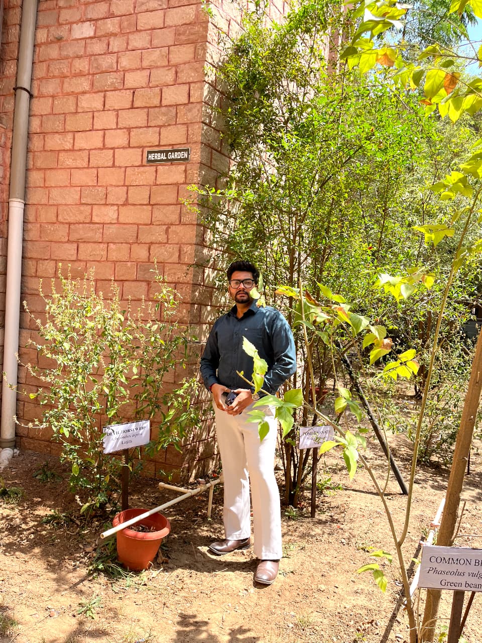 Herbal Garden 4